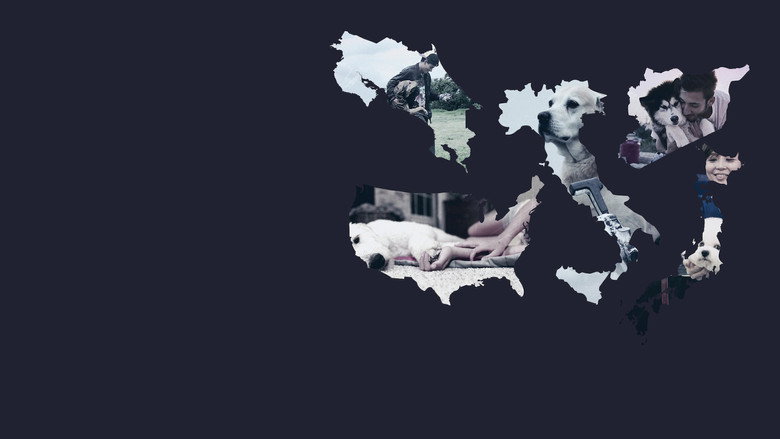 Dogs backdrop 2