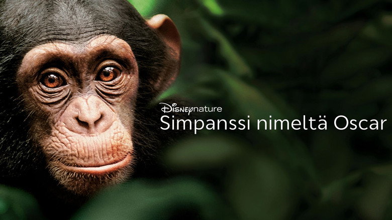 Chimpanzee backdrop 5