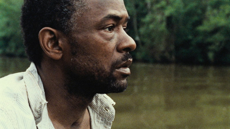 Beasts of the Southern Wild backdrop 6