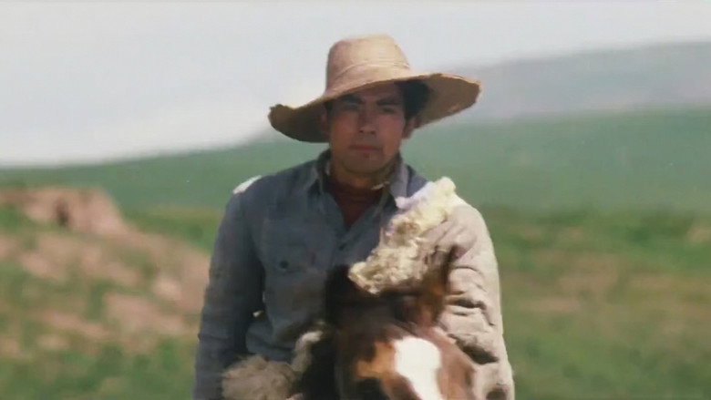 The Herdsman backdrop 9
