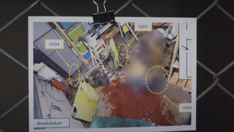 Cecilia and the axe murder