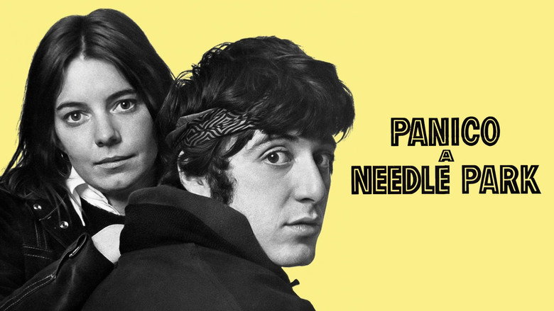 The Panic in Needle Park backdrop 7