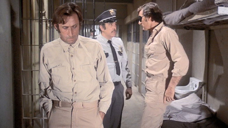 The Concrete Jungle Caper