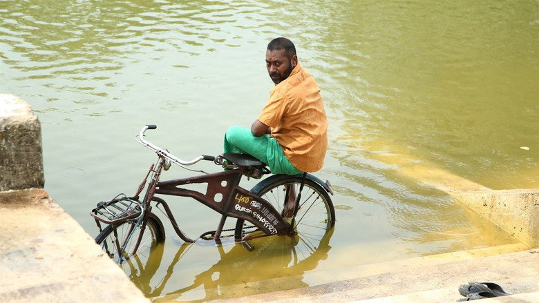 Kadugu backdrop 4