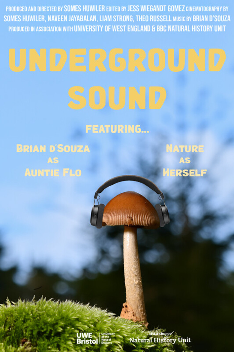 Underground Sound