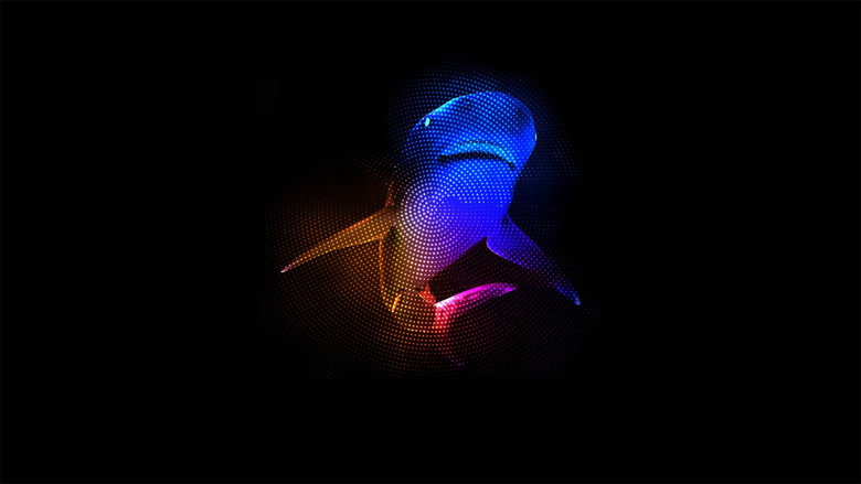 Mothersharker backdrop 1