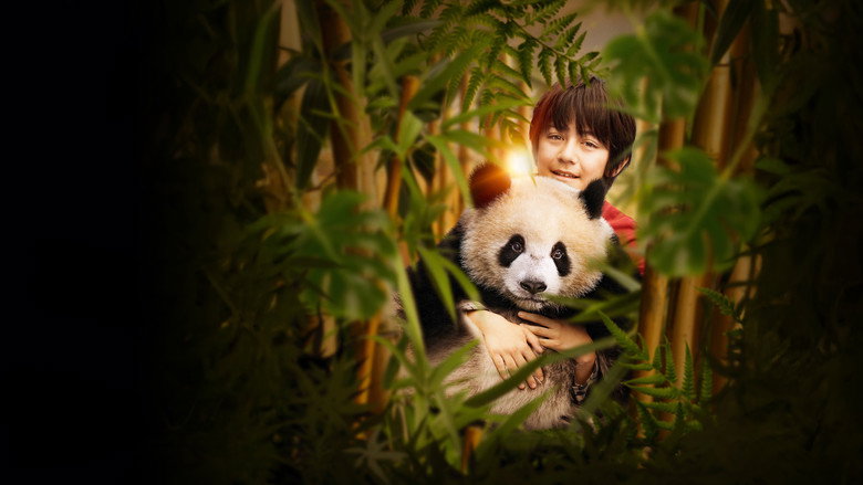 Moon the Panda backdrop 7