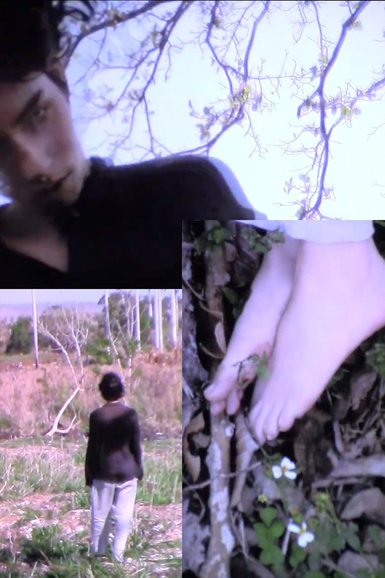 testifica mi vanidad