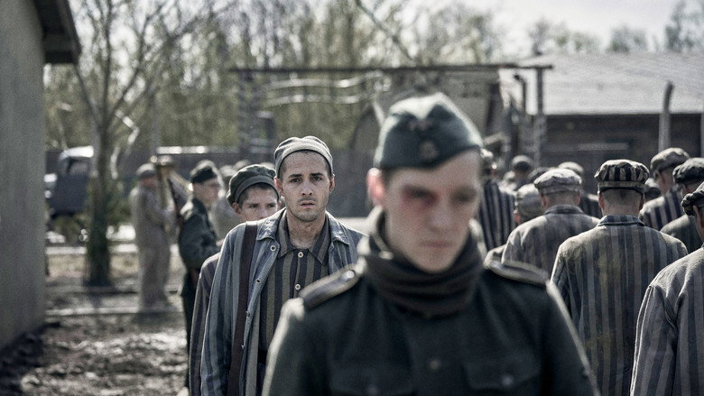 The Tattooist of Auschwitz backdrop 9