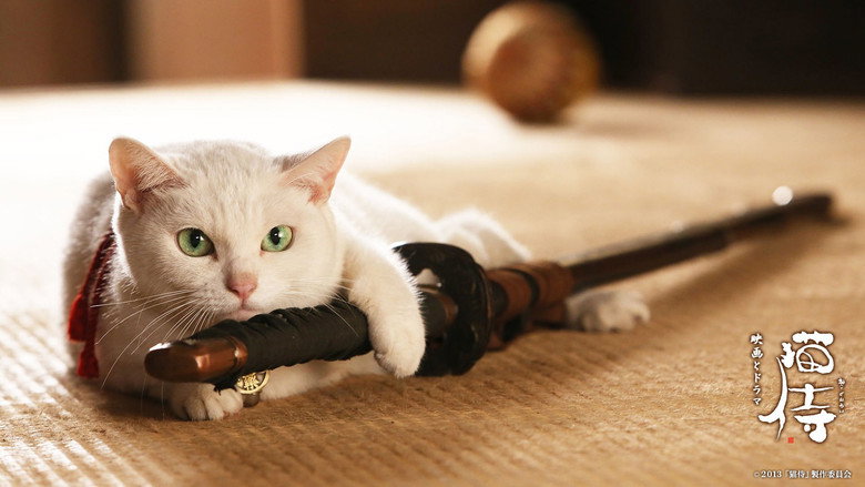 Samurai Cat backdrop 2