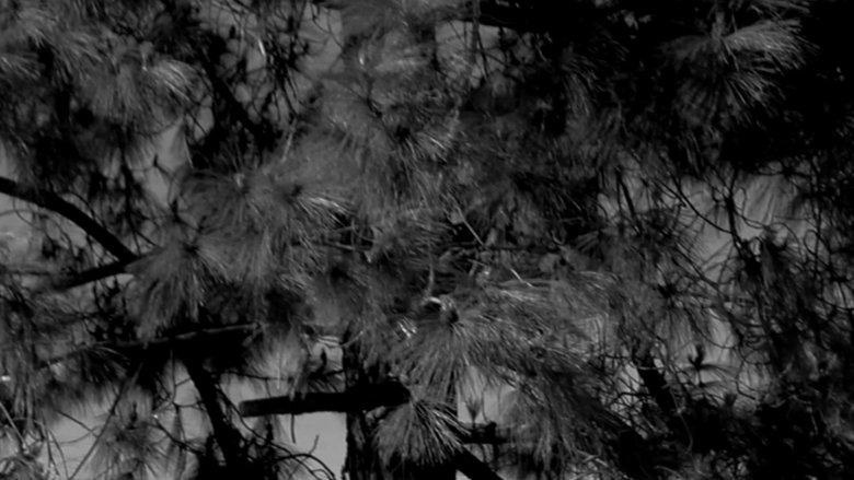 city of angels
