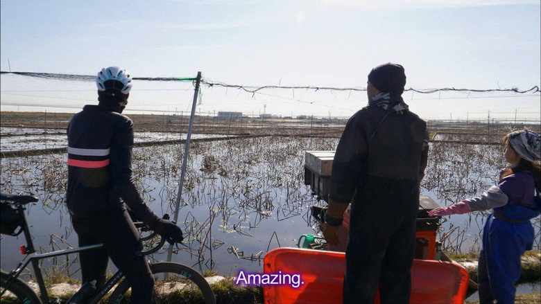 Cycle Around Japan - Ibaraki: Where Family Matters