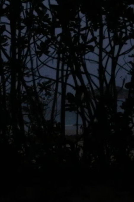 From the Void of Time