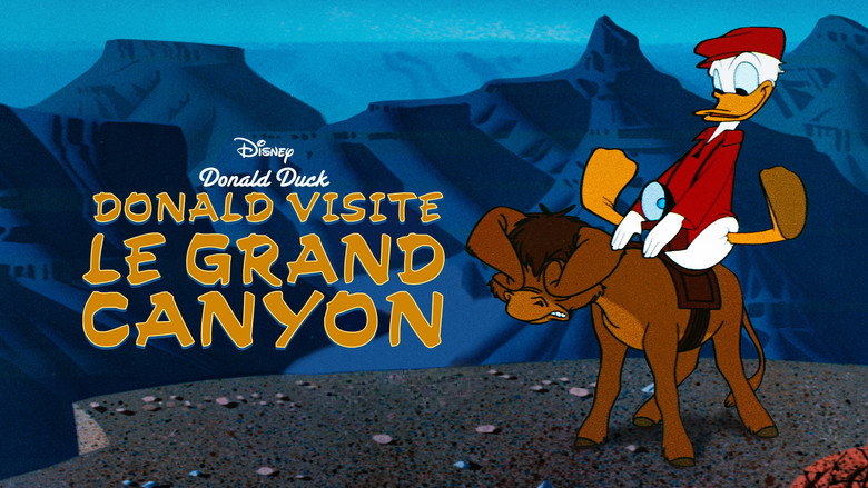Grand Canyonscope backdrop 5
