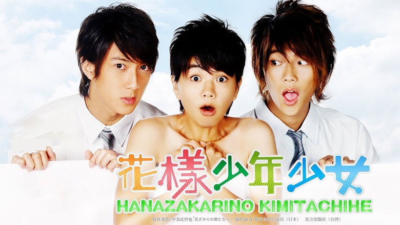 Hana Kimi backdrop 1