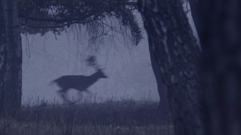 Deer Boy backdrop 5