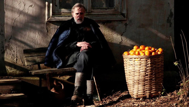 Tangerines backdrop 3