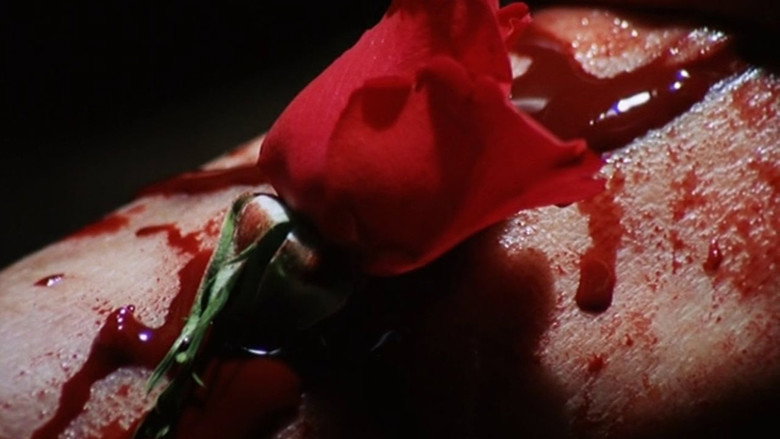 The Rose King backdrop 5
