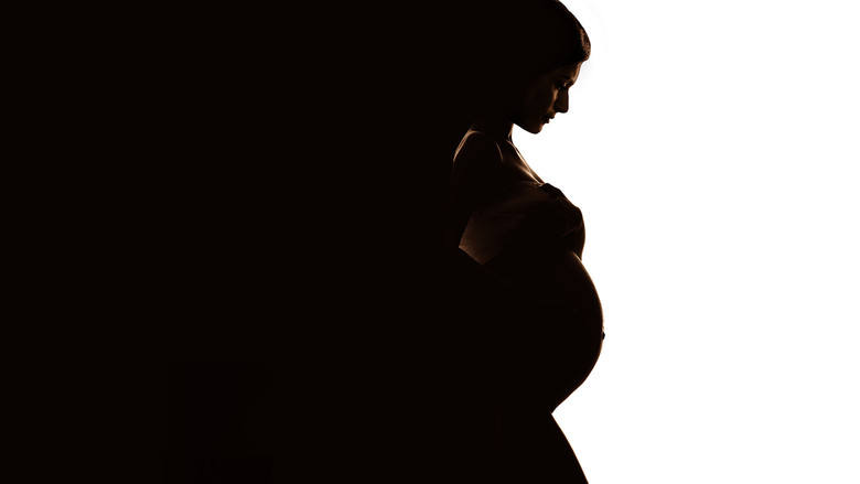 Secret Life of a Celebrity Surrogate backdrop 3