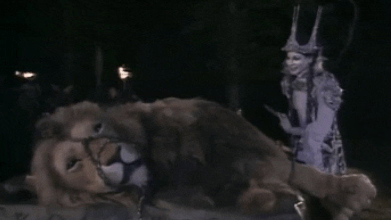 The Chronicles of Narnia: The Lion, the Witch & the Wardrobe backdrop 6