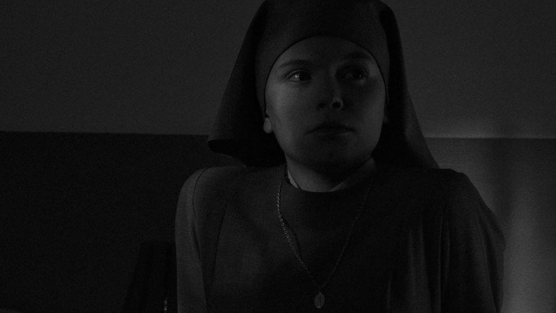 Ida backdrop 3