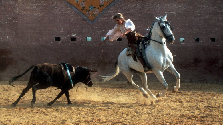 Bolero backdrop 5