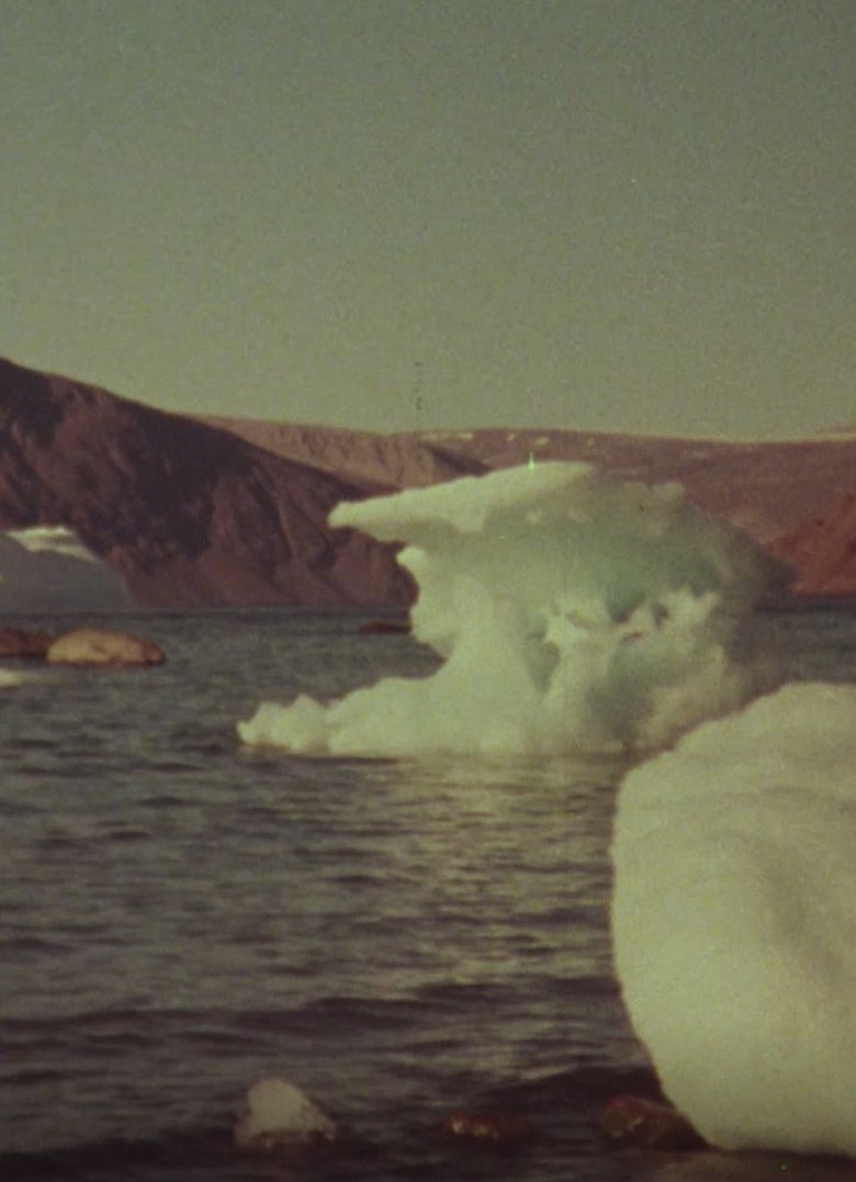 Jenny's Arctic Diary