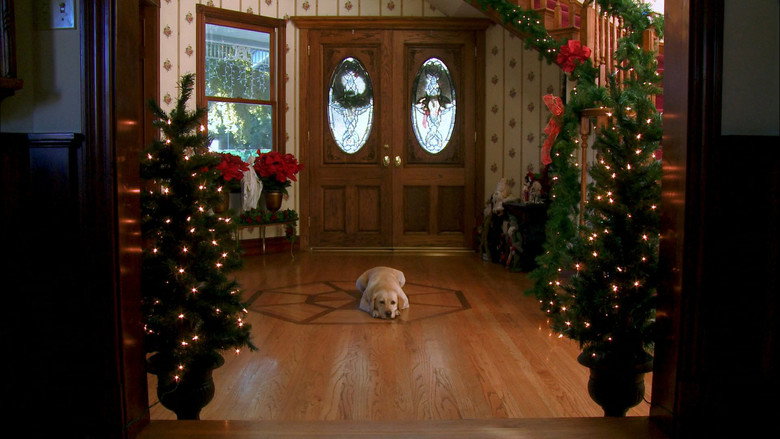 The Dog Who Saved Christmas backdrop 5