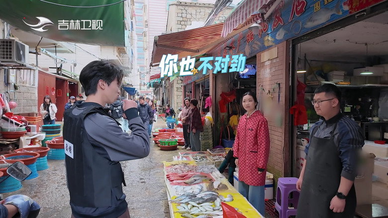 Short Drama X Family backdrop 3