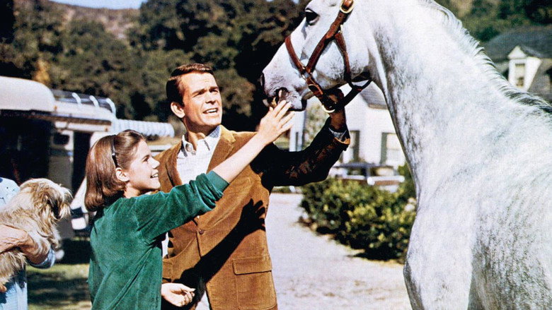The Horse in the Gray Flannel Suit backdrop 3