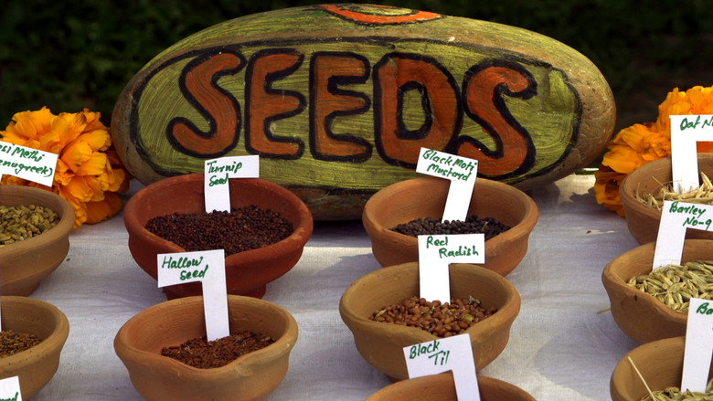 Seed: The Untold Story backdrop 3