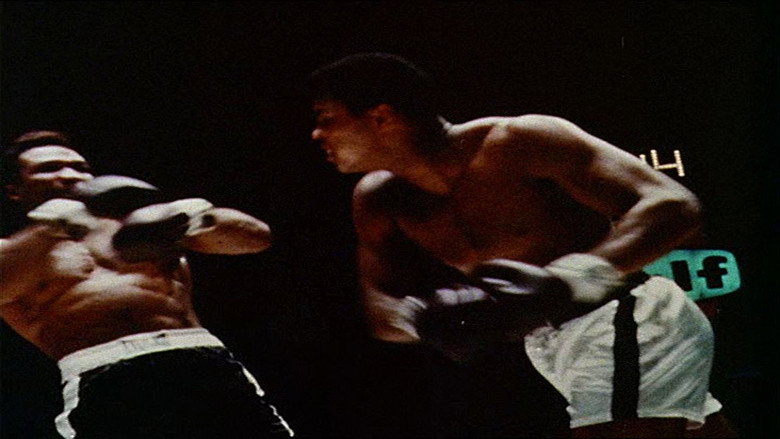 a.k.a. Cassius Clay backdrop 6