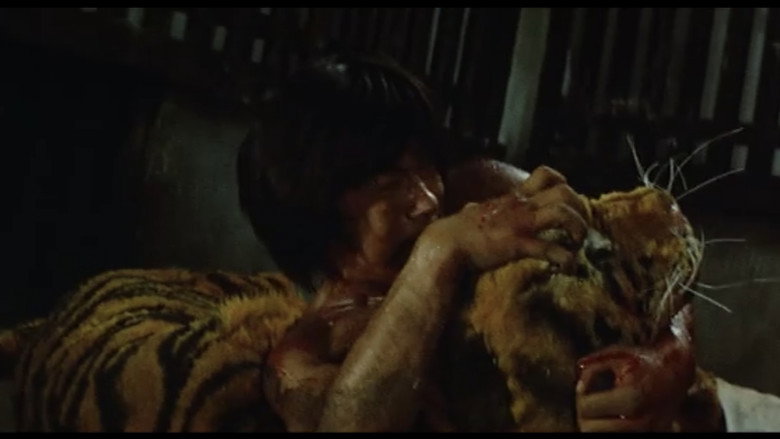 Which Is Stronger, Karate or the Tiger? backdrop 2