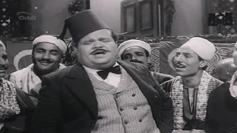 Olwi Fayed