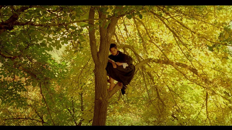 The Pear Tree backdrop 9