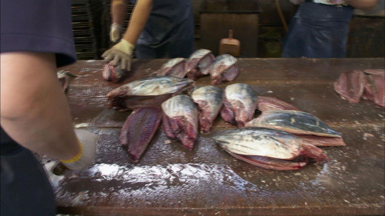 Cycle Around Japan - Kochi: Beneath Blue Skies