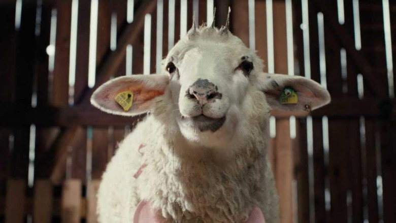Sheep backdrop 3