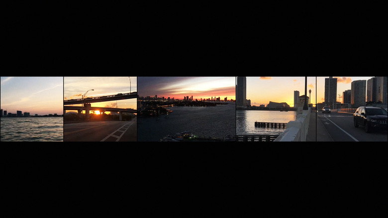 Miami In Movements backdrop 5