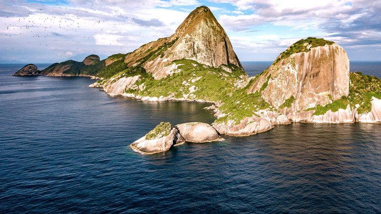 Blue Brazil backdrop 9