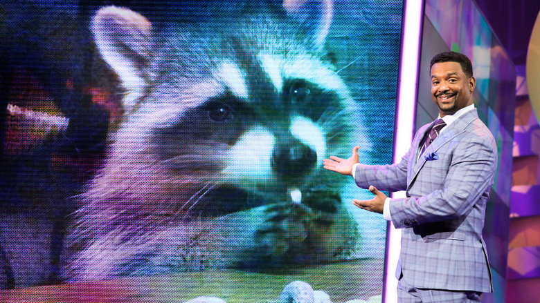 America's Funniest Home Videos: Animal Edition backdrop 3
