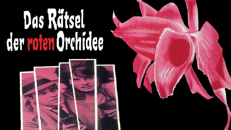 The Secret of the Red Orchid backdrop 6