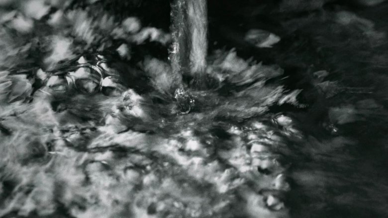 Letters from the Shattered Years