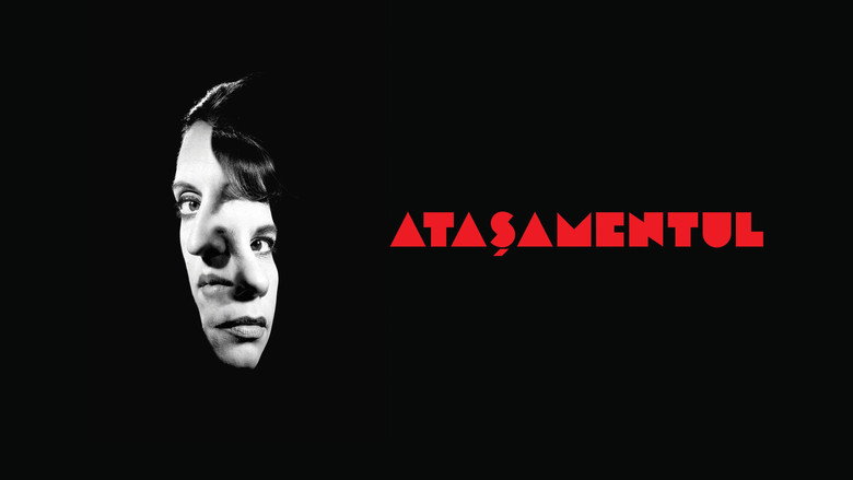 The Attachment Diaries backdrop 4