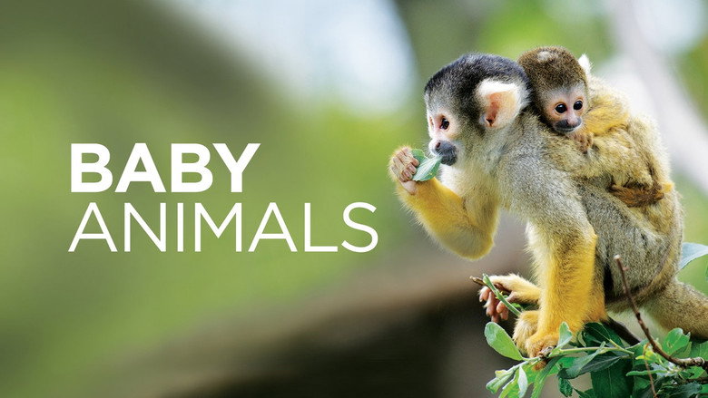 Baby Animals backdrop 2