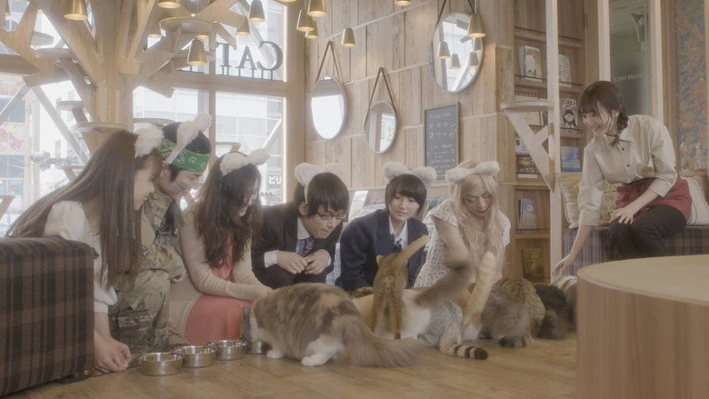 Cat Cafe backdrop 3