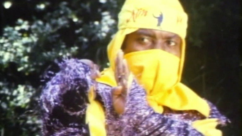 Ninja Operation - Knight and Warrior