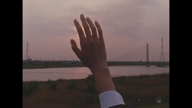 Yumi Shimizu