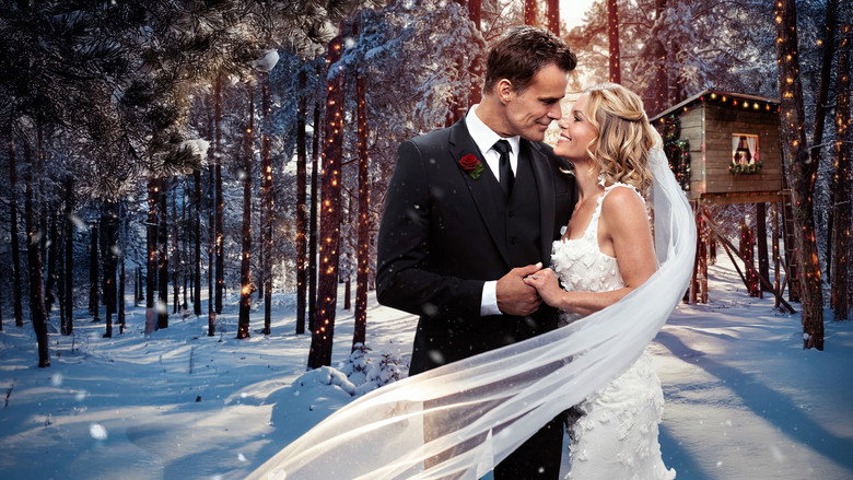 Another Sweet Christmas backdrop 3