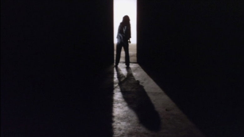 Female Prisoner: Caged! backdrop 3