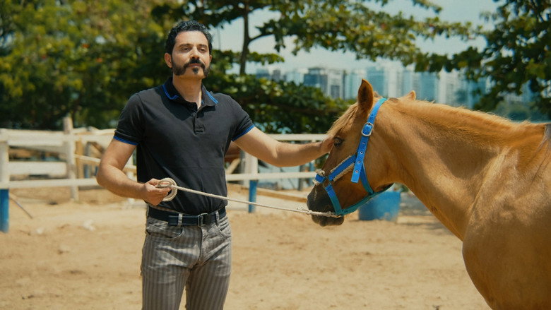 Pedro Had a Horse backdrop 9